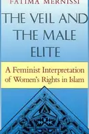 Book cover of The veil and the male elite : a feminist interpretation of women's rights in Islam
