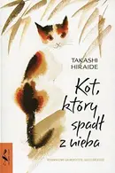 Book cover of Kot ktory spadl z nieba