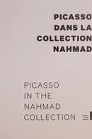 Book cover of Picasso dans la collection Nahmad