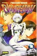 Book cover of NEOGÉNESIS EVANGELION TOMO 10