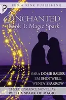 Book cover of Magic Spark