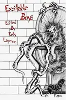 Book cover of Excitable Boys
