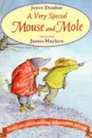 Book cover of A Very Special Mouse and Mole