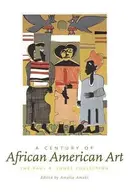 Book cover of A Century Of African american Art