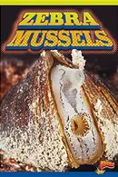 Book cover of Zebra Mussels