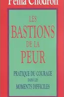 Book cover of Les Bastions de la peur