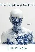 Book cover of Kingdom of Surfaces