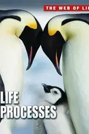 Book cover of Web of Life