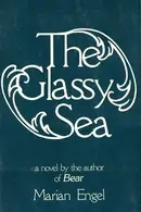 Book cover of The Glassy Sea