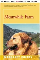Book cover of Meanwhile Farm