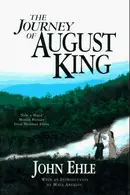 Book cover of The journey of August King