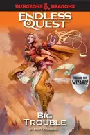 Book cover of Big Trouble
