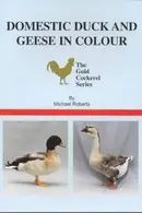 Book cover of Domestic duck and geese in colour