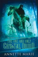 Book cover of The One and Only Crystal Druid