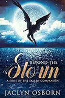 Book cover of Beyond the Storm