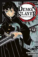 Book cover of Demon Slayer T12