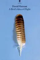 Book cover of A Bird's Idea of Flight