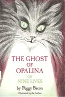 Book cover of The Ghost of Opalina