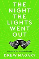 Book cover of The Night the Lights Went Out