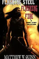 Book cover of Flashing Steel, Flashing Fire