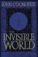 Book cover of The Invisible World