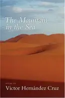 Book cover of The Mountain in the Sea