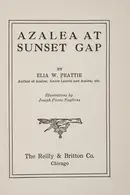 Book cover of Azalea at Sunset Gap