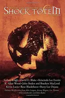 Book cover of Shock Totem 9.5