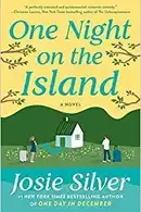 Book cover of One Night on the Island