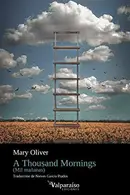 Book cover of A thousand mornings