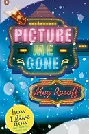Book cover of Picture Me Gone