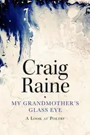 Book cover of My Grandmother's Glass Eye
