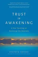 Book cover of Trust in Awakening