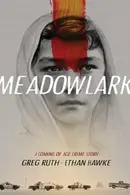 Book cover of Meadowlark