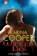 Book cover of Wicked Lies: A Dark Mission Novella
