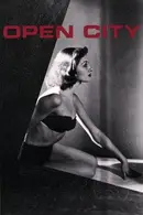 Book cover of Open City