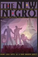 Book cover of New Negro