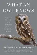 Book cover of What an Owl Knows