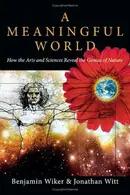 Book cover of A meaningful world