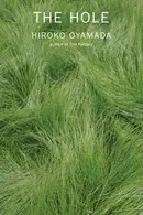 Book cover of The Hole