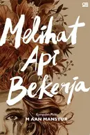 Book cover of Melihat Api Bekerja