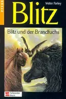 Book cover of Black Stallion and Flame