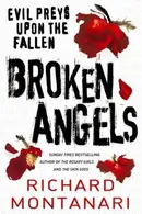 Book cover of BROKEN ANGELS