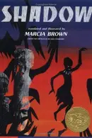 Book cover of Shadow