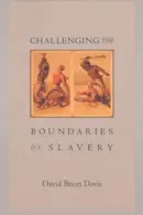 Book cover of Challenging the boundaries of slavery