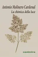 Book cover of La chimica della luce