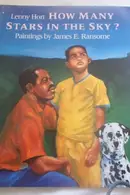 Book cover of How Many Stars in the Sky?