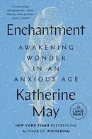 Book cover of Enchantment