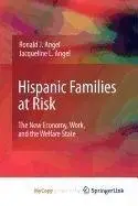Book cover of Hispanic Families at Risk