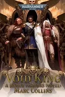Book cover of Void King